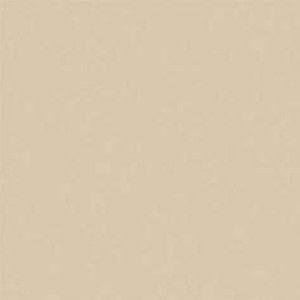 Meet your Posher, Evelin castaneda